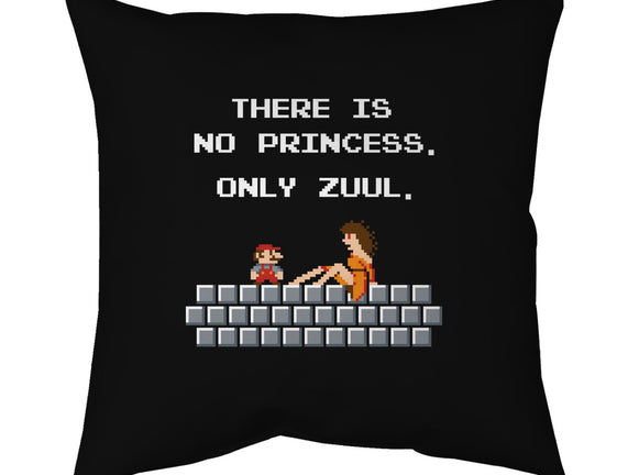 There Is No Princess