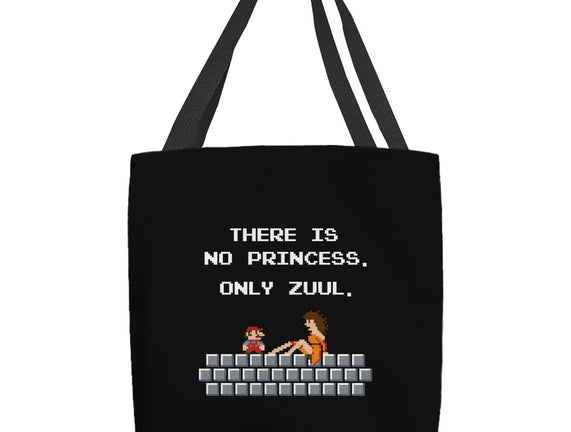 There Is No Princess