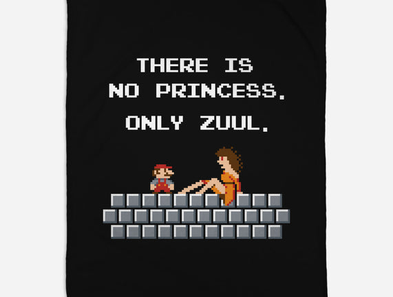 There Is No Princess