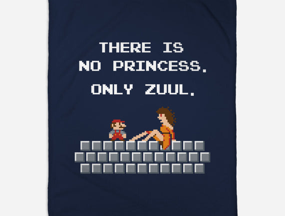 There Is No Princess