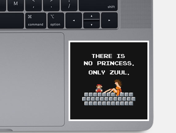 There Is No Princess
