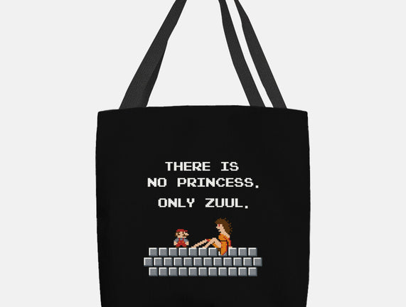 There Is No Princess