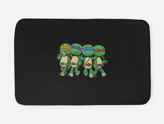 Turtle BFFs