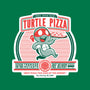 Turtle Pizza-none fleece blanket-owlhaus