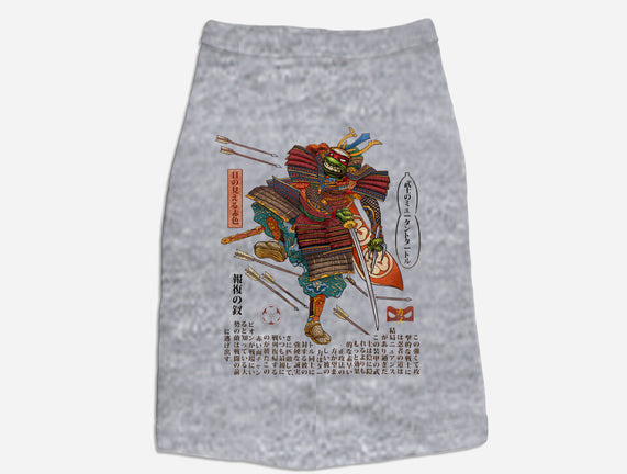 Samurai Raphael