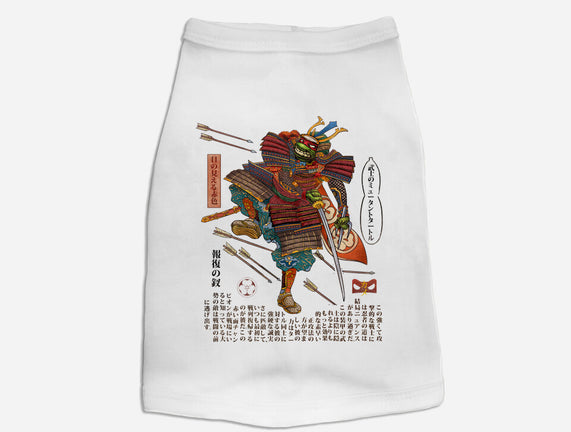 Samurai Raphael
