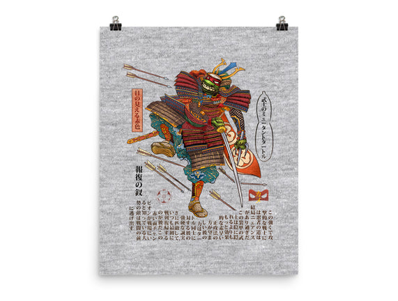 Samurai Raphael