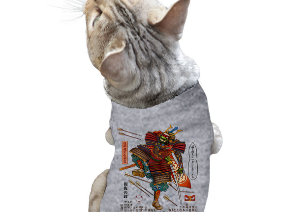 Samurai Raphael