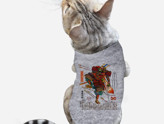 Samurai Raphael