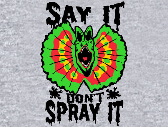 Say It Don't Spray It