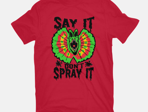 Say It Don't Spray It