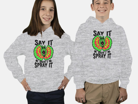 Say It Don't Spray It