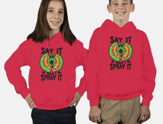 Say It Don't Spray It