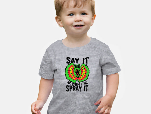 Say It Don't Spray It