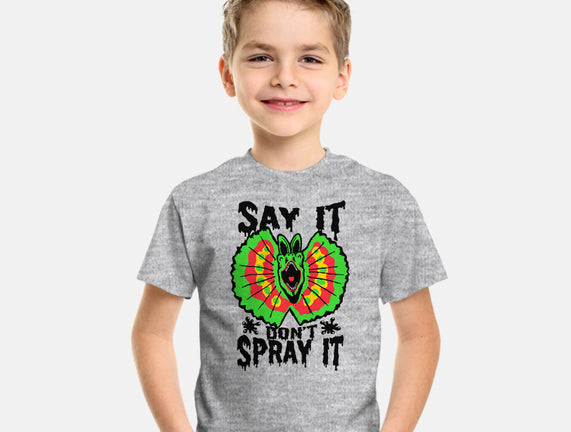 Say It Don't Spray It