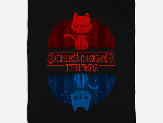 Schrodinger Things
