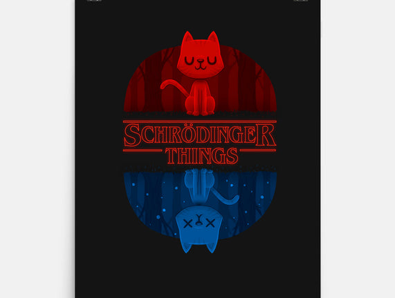 Schrodinger Things