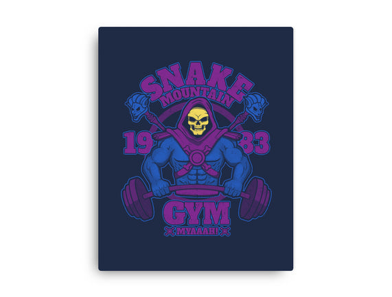 Snake Mountain Gym