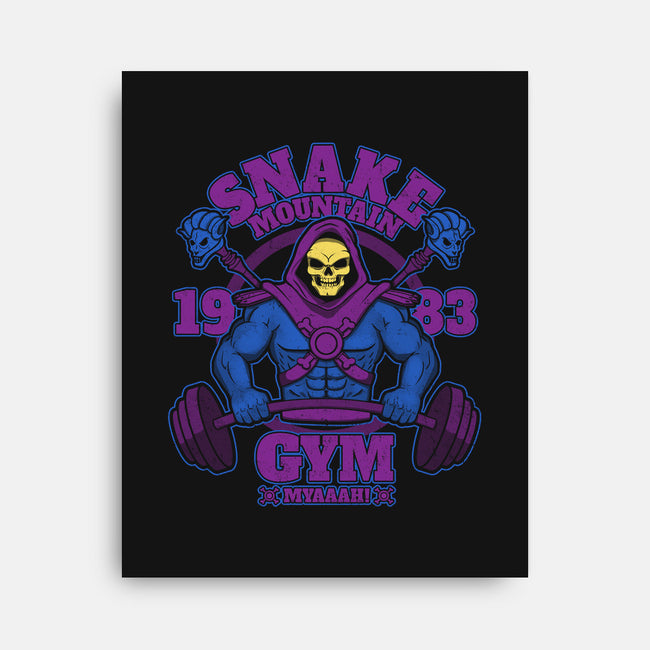 Snake Mountain Gym-none stretched canvas-jozvoz