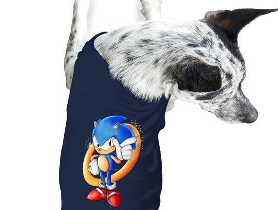 Sonic Sass