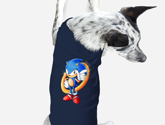 Sonic Sass