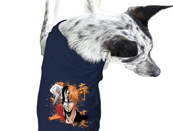 Soul Reaper
