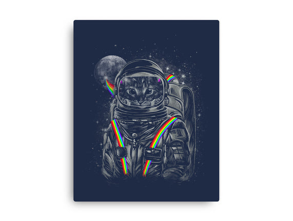 Space Mission