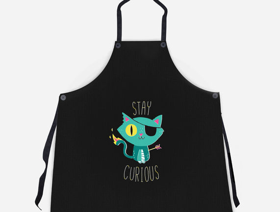 Stay Curious