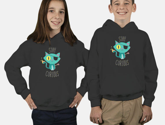 Stay Curious