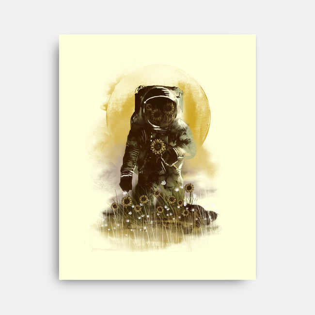 Sunflower Field-none stretched canvas-dandingeroz