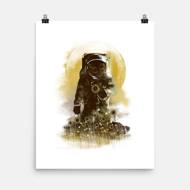 Sunflower Field-none matte poster-dandingeroz