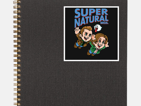 Super Natural Bros