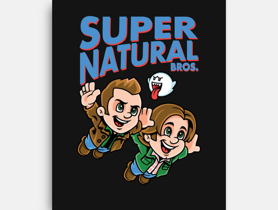 Super Natural Bros