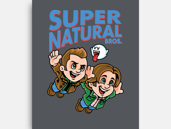 Super Natural Bros