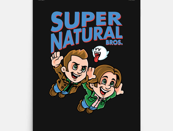 Super Natural Bros