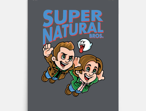 Super Natural Bros