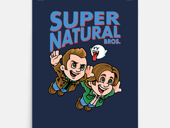 Super Natural Bros