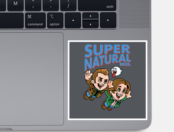 Super Natural Bros