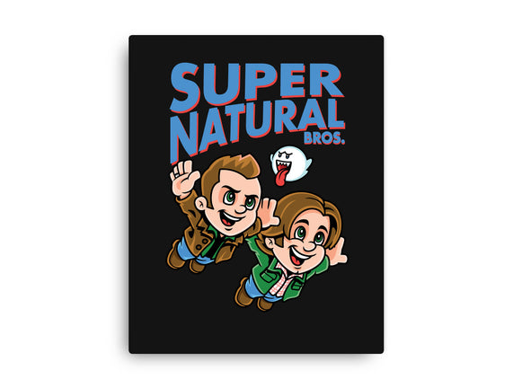 Super Natural Bros