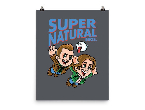 Super Natural Bros
