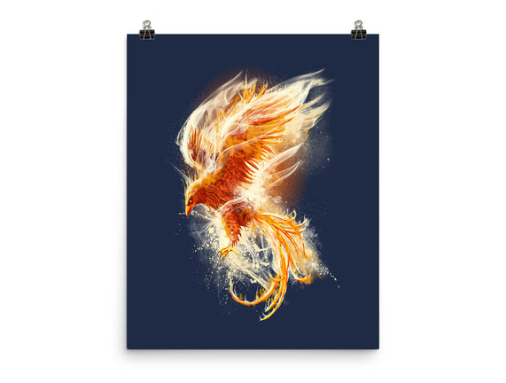 Phoenix Reborn
