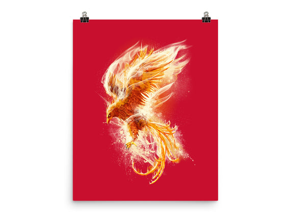 Phoenix Reborn