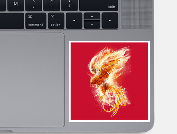 Phoenix Reborn