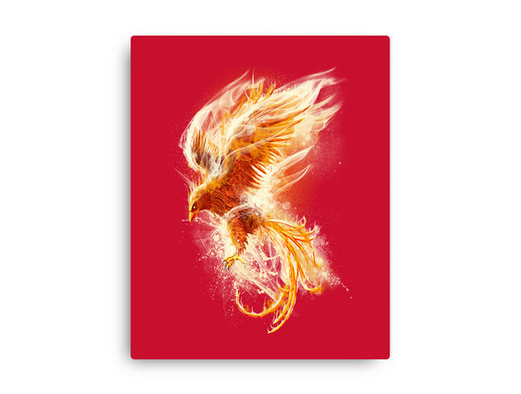 Phoenix Reborn