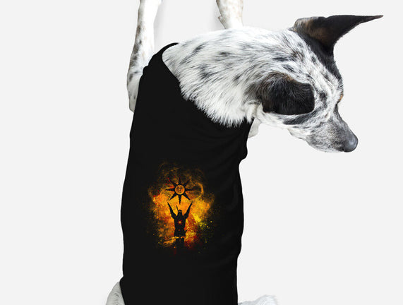 Praise the Sun
