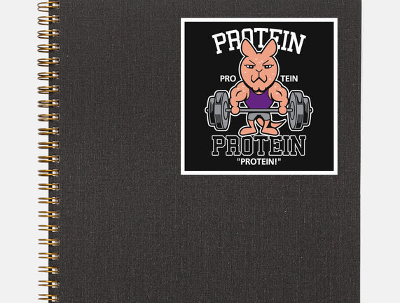 Protein Gym