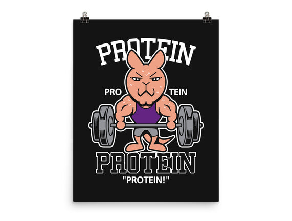 Protein Gym