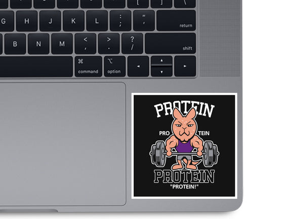 Protein Gym