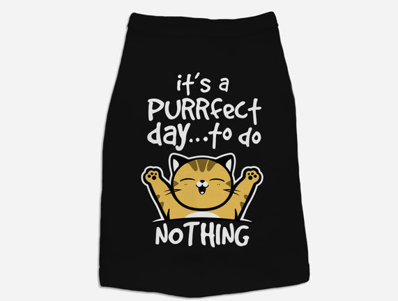 Purrfect Day