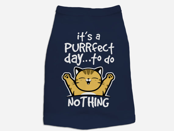 Purrfect Day